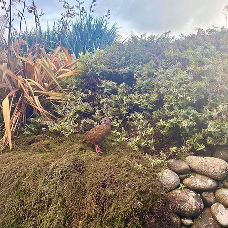 Wild Weka Eco Stay - Off-Grid 4Wd Recommended Waimarie Buitenkant foto
