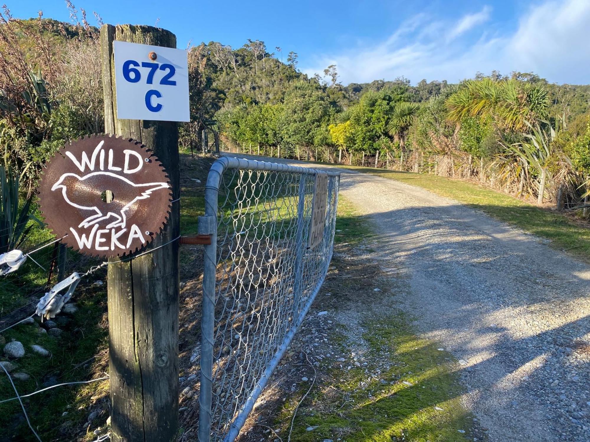 Wild Weka Eco Stay - Off-Grid 4Wd Recommended Waimarie Buitenkant foto